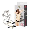 Зажимы на соски Nipple clamps с цепочкой 941-01 PP DD - фото 173788
