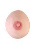 Искусственная женская грудь, накладная (3-й размер) 100601BXDD